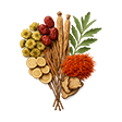 Herbs Icon